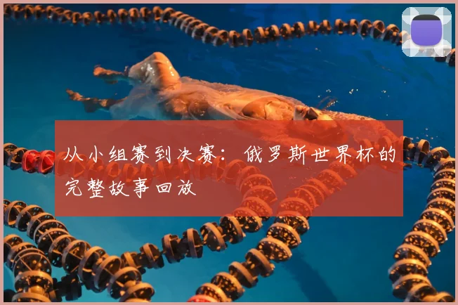 从小组赛到决赛：俄罗斯世界杯的完整故事回放