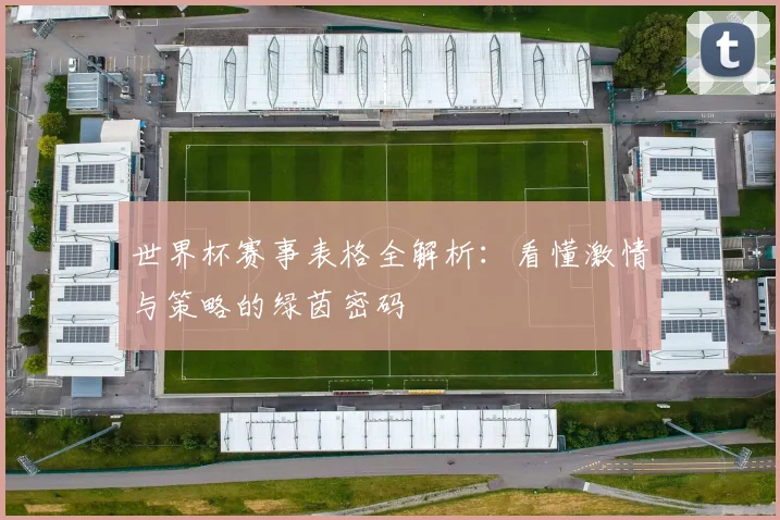 世界杯赛事表格全解析：看懂激情与策略的绿茵密码